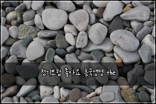 정기보험 좋아요  흥국생명 the