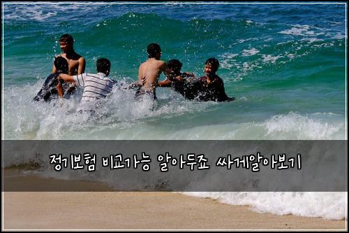 정기보험 비교가능  알아두죠 싸게알아보기