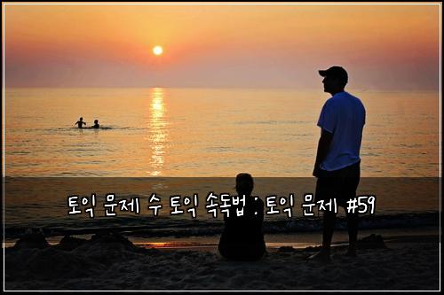 토익 문제 수 토익 속독법 : 토익 문제 #59