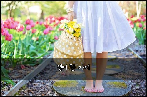 영어 한 마디