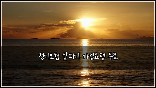 정기보험 살피기  가입요령 무료