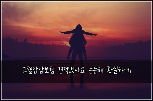 고혈압암보험 견적냈나요  든든해 확실하게