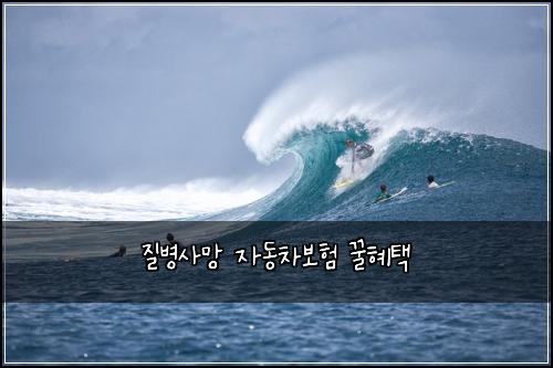 질병사망 자동차보험 꿀혜택 