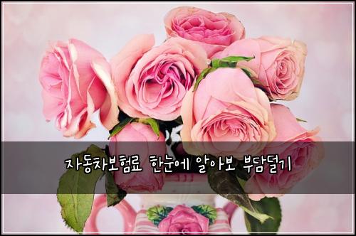 자동차보험료 한눈에 알아보 부담덜기