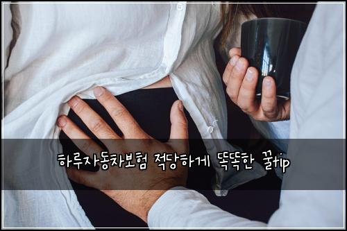 ํ๋ฃจ์๋์ฐจ๋ณดํ ์ ๋นํ๊ฒ ๋๋ํ ๊ฟtip