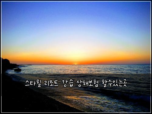 스타힐 리조트 강습 상해보험 할수있는곳 