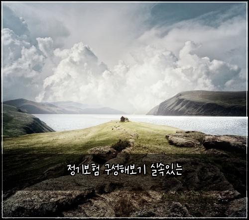 정기보험 구성해보기  실속있는