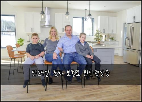 만24살 첫차 보험료 판단력상승
