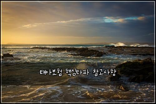 태아보험 핵심타파  참고사항