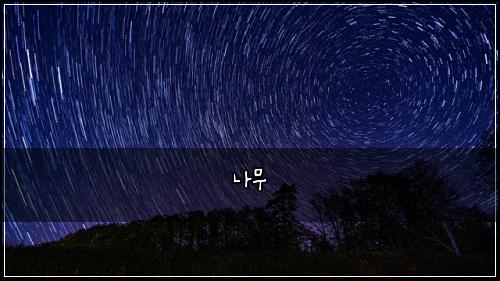 나무