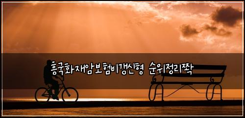 흥국화재암보험비갱신형 순위정리쫙