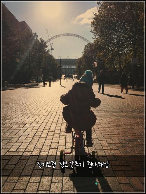 정기보험 정보갖추기  현대해상