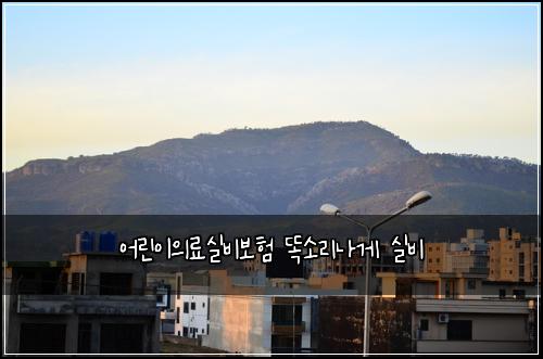 어린이의료실비보험 똑소리나게  실비