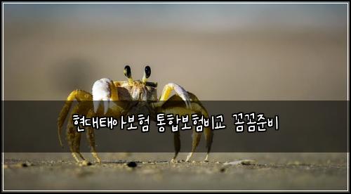 현대태아보험 통합보험비교 꼼꼼준비