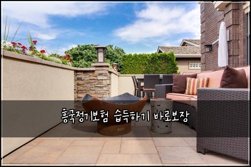 흥국정기보험 습득하기  바로보장