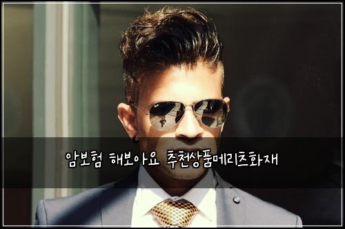 ์๋ณดํ ํด๋ณด์์ ์ถ์ฒ์ํ๋ฉ๋ฆฌ์ธ ํ์ฌ