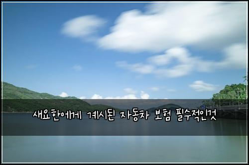 ์์ํ์๊ฒ ๊ณ์๋ ์๋์ฐจ ๋ณดํ ํ์์ ์ธ๊ฒ
