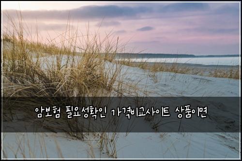 암보험 필요성확인  가격비교사이트 상품이면