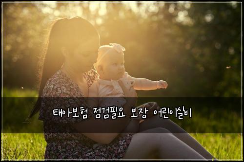 태아보험 점검필요  보장 어린이실비