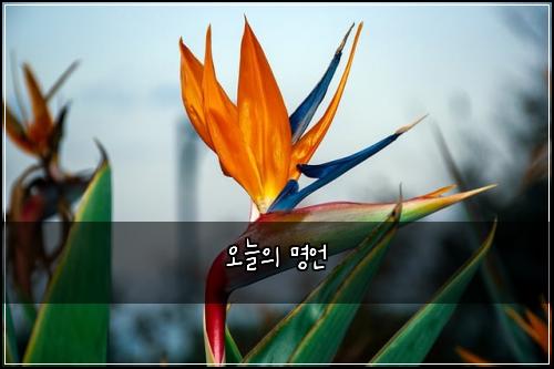 오늘의 명언