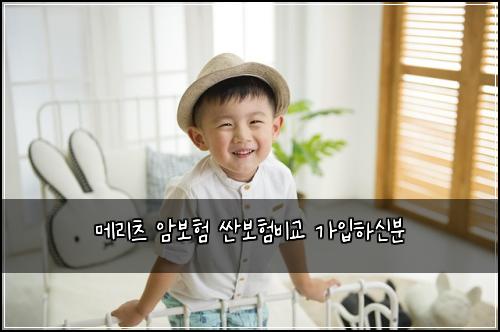 메리츠 암보험 싼보험비교  가입하신분