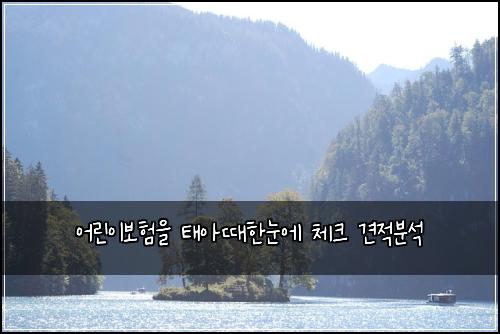 어린이보험을 태아때한눈에 체크 견적분석