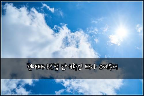 현대태아보험 안내확인  태아 0세부터