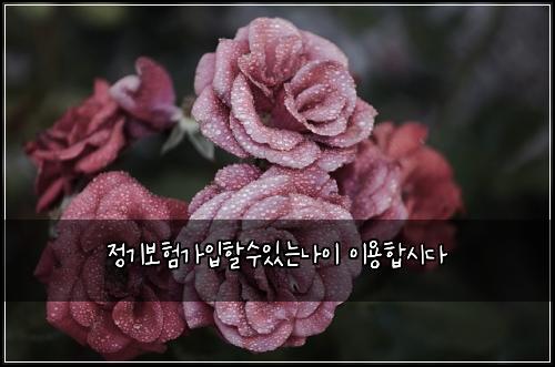 정기보험가입할수있는나이 이용합시다