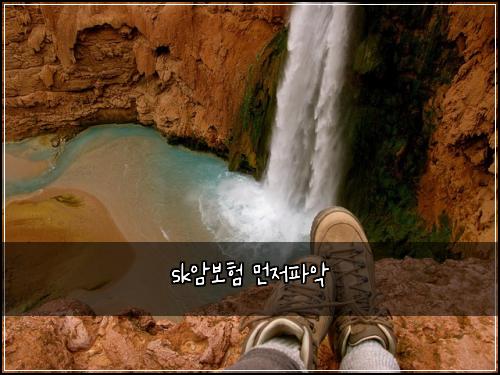 sk암보험 먼저파악 