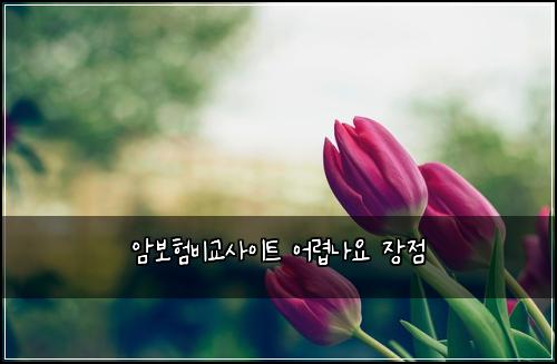 암보험비교사이트 어렵나요 장점