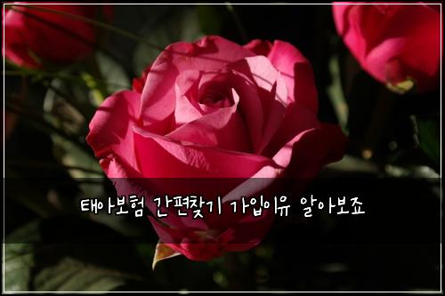 태아보험 간편찾기  가입이유 알아보죠