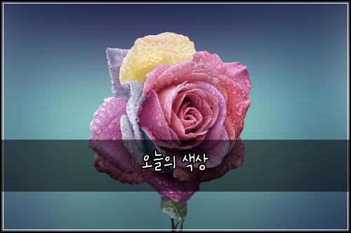 오늘의 색상