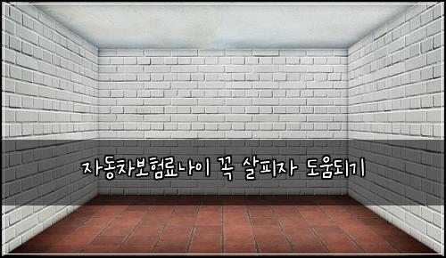 자동차보험료나이 꼭 살피자 도움되기
