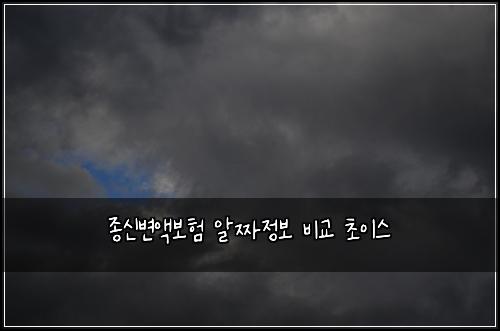 종신변액보험 알짜정보  비교 초이스