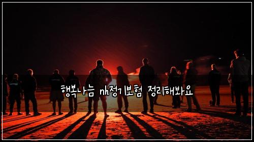 행복나늠 nh정기보험 정리해봐요 