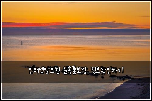 인터넷암보험 실속풀보장  정보확인하기