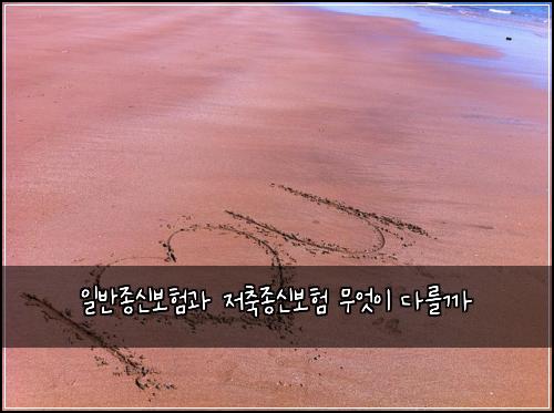 일반종신보험과 저축종신보험 무엇이 다를까