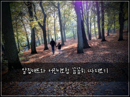 알집매트와 어린이보험 꼼꼼히 따져보기