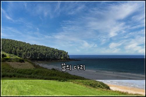 꿈의 다리