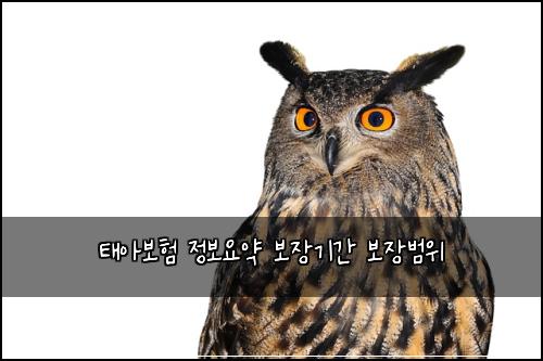 태아보험 정보요약  보장기간 보장범위