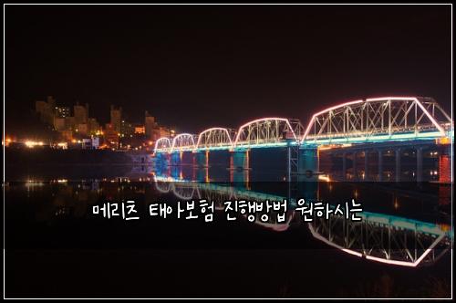 메리츠 태아보험 진행방법  원하시는