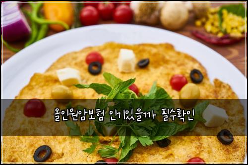 올인원암보험 인기있을까  필수확인
