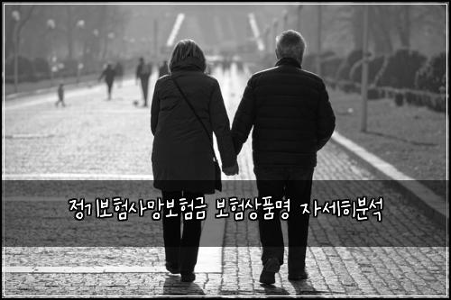 정기보험사망보험금 보험상품명 자세히분석