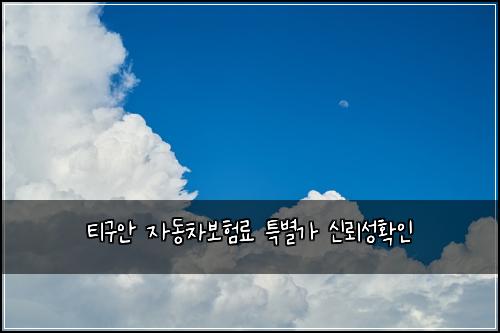 티구안 자동차보험료 특별가 신뢰성확인