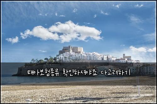 태아보험종류 확인하셔야죠 다고려하기
