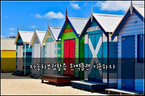 자동차보험활증 완벽플랜 이용하자