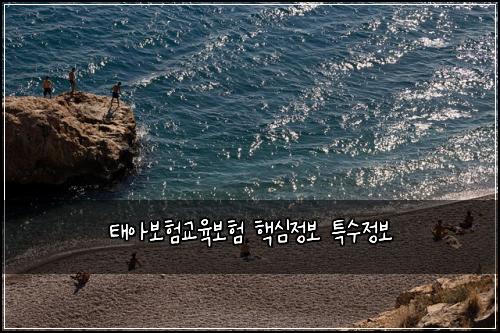 태아보험교육보험 핵심정보 특수정보