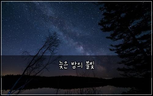 늦은 밤의 불빛