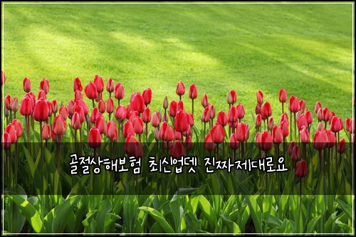 ๊ณจ์ ์ํด๋ณดํ ์ต์ ์
๋ ์ง์ง์ ๋๋ก์