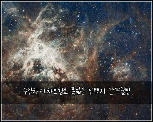 수입차자차보험료 폭넓은 선택지 간편꿀팁